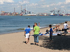 Port d’Helsinki vu d'une plage de Pihlajasaari.