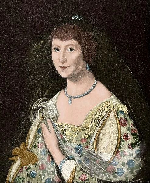 Bestand:Portrait of Anne Stanley (1580-1647), Countess of Castlehaven.webp