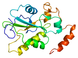 Ақуыз CDC25B PDB 1cwr.png