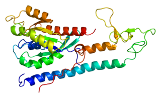 RAB3A Protein-coding gene in the species Homo sapiens