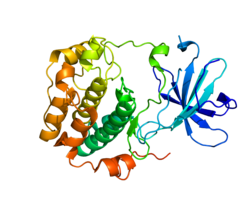 Протеин SGK1 PDB 2R5T.png