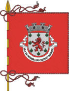 Flag of Figueira de Castelo Rodrigo