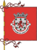 Vlag van Figueira de Castelo Rodrigo