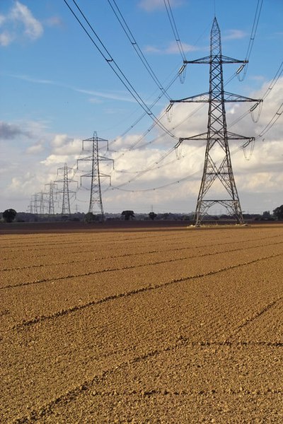 File:Pylons Near Roxton Farm - geograph.org.uk - 574020.jpg