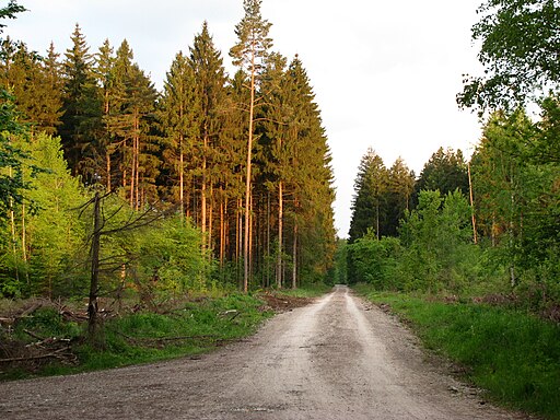 Römerstraße Kreuzung Max-Joseph-Geräumt