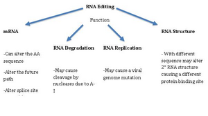 Rna Editing