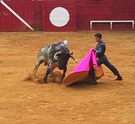 Premier tercio : matador réalisant une véronique avec une jambe pliée.