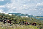 Miniatura para Puerto del Reventón (sierra de Guadarrama)