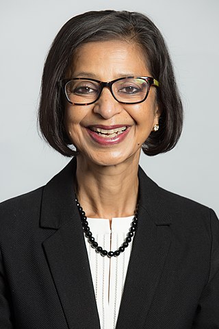 <span class="mw-page-title-main">Ritu Agarwal</span> Indian-American management scientist