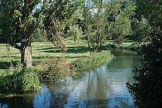 River Coln River in Gloucestershire, England