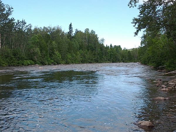 A reach of the upper river