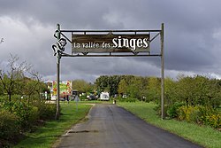 Anschauliches Bild des Artikels Vallée des singes (Frankreich)