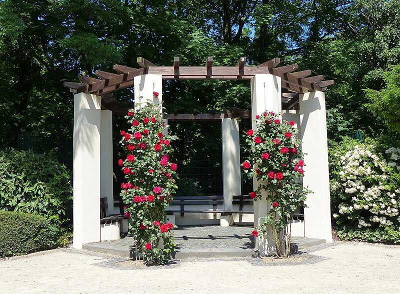 File:Rosengarten der Stadt Köln Rosenpavillon.jpg