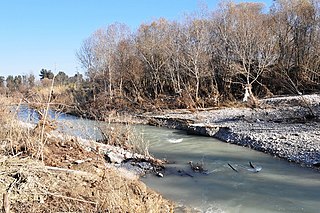 Saline (Italian river) river in Italy