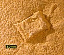 Tolva de cristal de halita fundido en una roca jurásica, encontrado en la formación Carmel, Utah