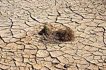 Dried Californian lake bed during drought in 2014 Salton City (March 2014) 13.JPG