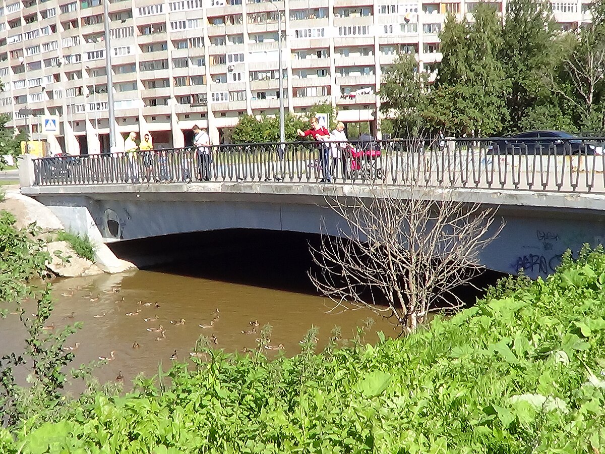 Товарищеский проспект