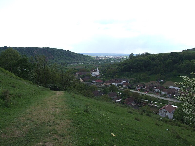 File:Satul Șoimoș din Arad.jpg