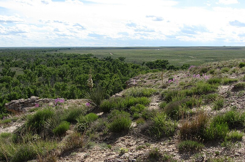 File:Scenic prairie view with flowers at Point of Rocks in Elkhart, Kansas (7754cf226a6342faa44834990e6d0df7).JPG