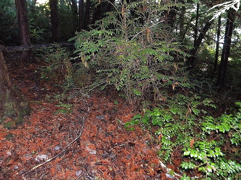 File:Seal Rock Shell Mounds NRHP 85001247 Jefferson County, WA.jpg