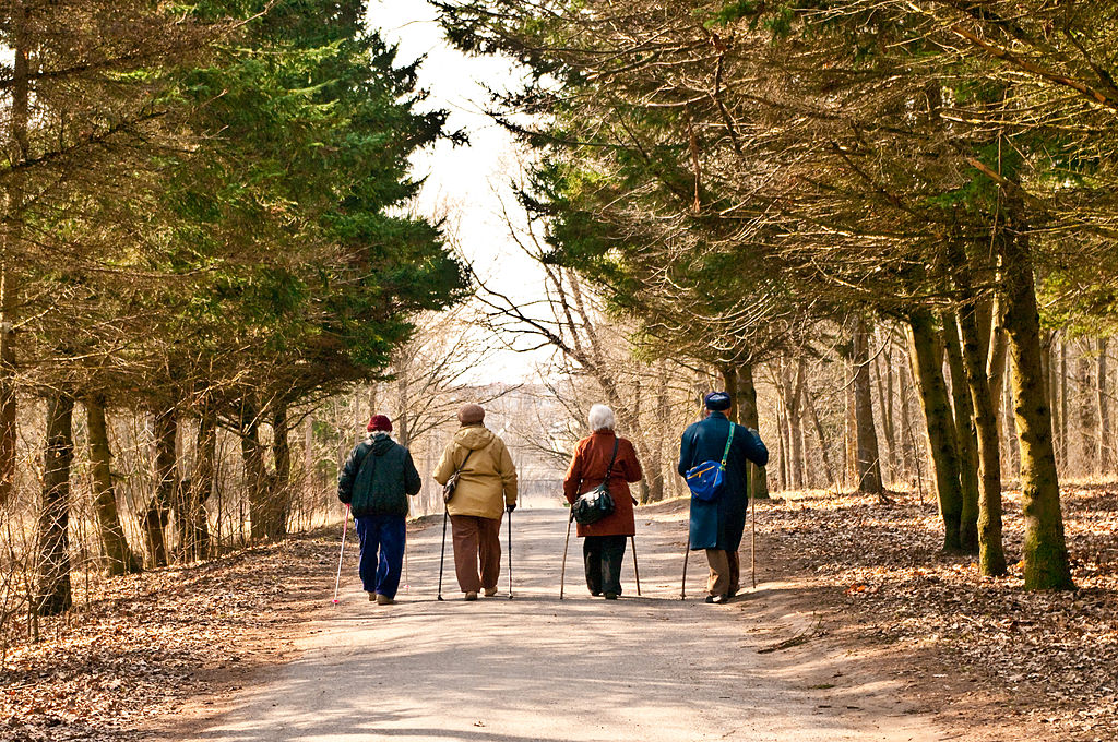 Four Seniors Walk Down A Path As Part Of Arts Programming For Seniors.