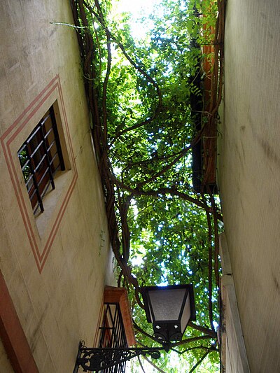 Calle Verde