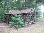 Shade Swamp Shelter