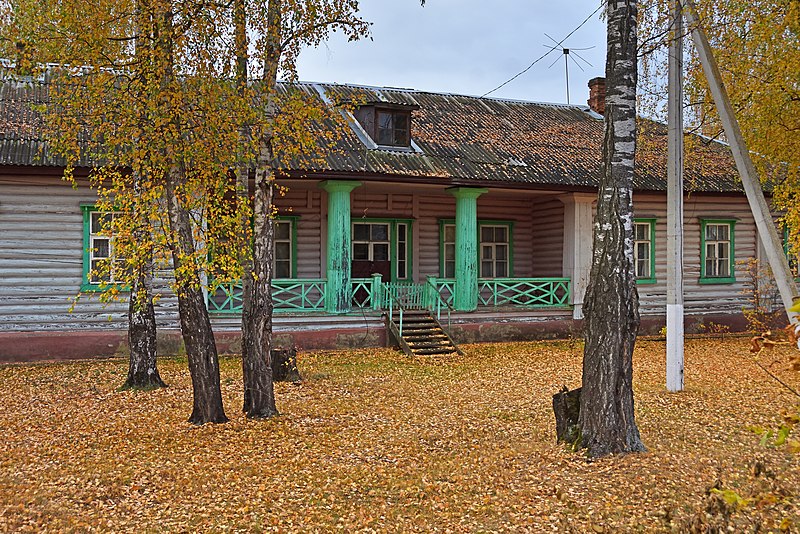 File:Shaturtorf Internatsionalnaya17 011 7411.jpg