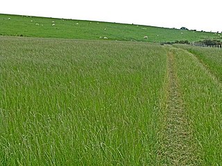 Bogjurgan Hill hill in the United Kingdom