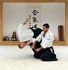 An aikido throw being practiced