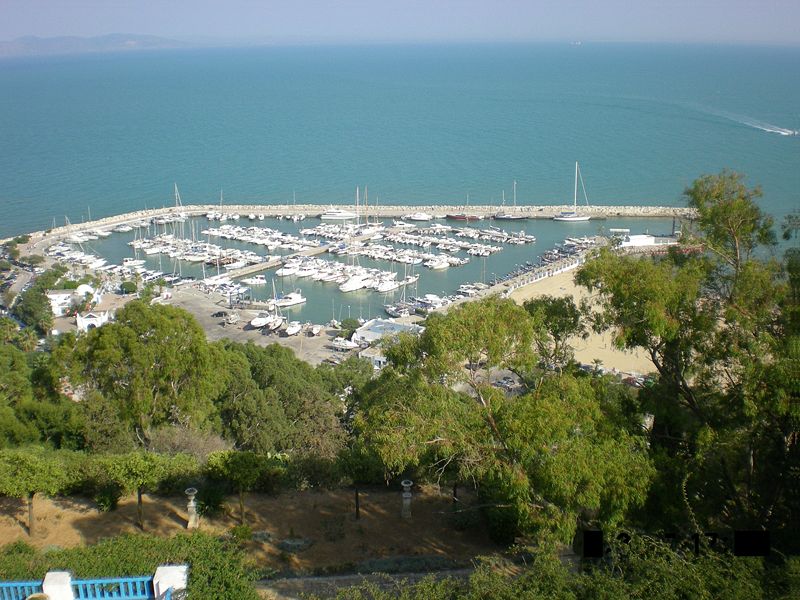 صورة:SidiBouSaidHarbour2.JPG