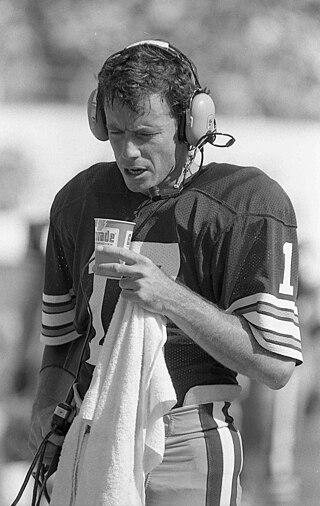 <span class="mw-page-title-main">Brian Sipe</span> American football player (born 1949)