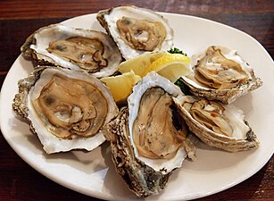 Steamed Eastern oysters on the half shell