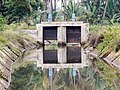 * Nomination Sluice gates in irrigation canal, close-up view, Paschimavahini, Srirangapatna --Tagooty 05:21, 2 August 2022 (UTC) * Promotion Good quality. --Kritzolina 11:02, 5 August 2022 (UTC)