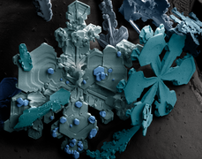 Сніжинки. Низькотемпературна електронна мікроскопія (SEM), псевдокольори