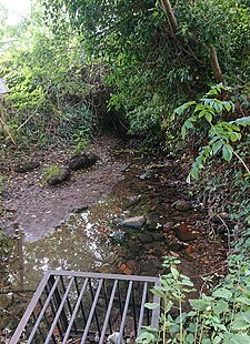 Source of the River Penk at Tettenhall Wood Source of the Penk, Tettenhall Wood.jpg