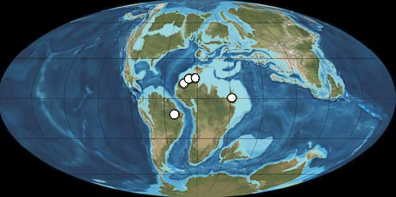 File:Spinosaurid fossils palaeogeographic map.png