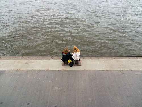 Ladies at a picnic