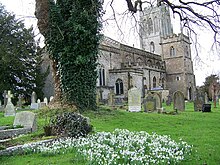 File:St_Mary's_Church,_Bruton_-_geograph.org.uk_-_666069.jpg