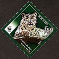 Leopardul zăpezilor pe o marca poştală din Rusia