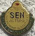 State Enrolled Nurse Badge formerly awarded by the Victorian Nursing Council from 1982 until 1993