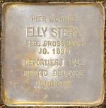 Stolperstein Am Ofenstein 3, Eisenach-Elly Stern-CTH.JPG