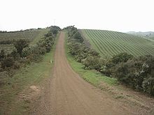 Vineyards near Stony Batter. Unlike the settled western part of the island, the eastern half is mostly agricultural.