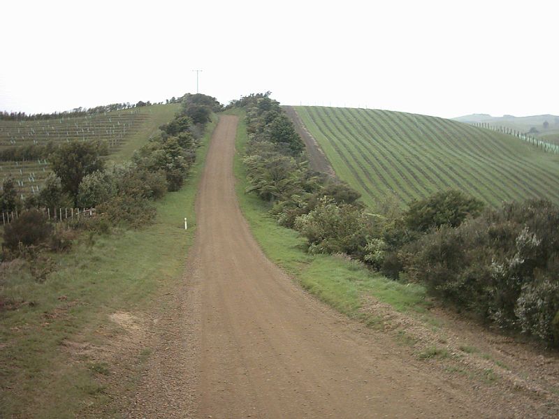 File:Stony Batter Waiheke Vineyards.jpg