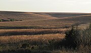 Thumbnail for Tallgrass Prairie National Preserve