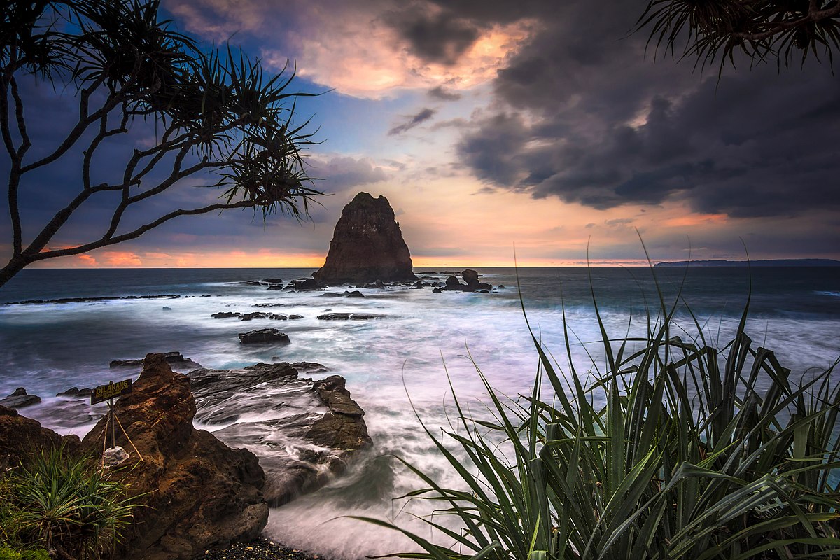  Pantai Papuma  Wikipedia bahasa Indonesia ensiklopedia bebas