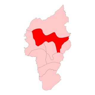 <span class="mw-page-title-main">Tapi Assembly constituency</span> Legislative Assembly constituency in Nagaland State, India