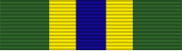 Teksas Vatan Savunma Servisi Ribbon.svg