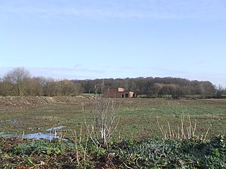 <span class="mw-page-title-main">Lindley Hall Farm</span> Farm in Lincolnshire, England