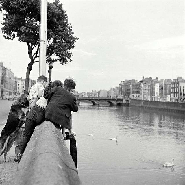 Ireland 1960. Фотограф Дублинский.